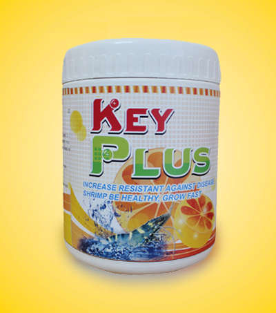 Key - Plus